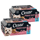 Cesar Wet Dog Food Classic Loaf in Sauce – Balanced Daily Nutrition for Small Breed Wellness, 36 Peel Trays of 6 Flavors