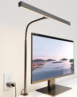 SUPERDANNY LED Desk Lamp – Home Office Task Light for 8-Hour Computer Workdays, Stepless Dimming Monitor Light