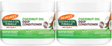 Palmer's Coconut Oil Deep Conditioner — Thoughtful Birthday Gift for Women with Dry, Damaged Hair, 12 Fl Oz