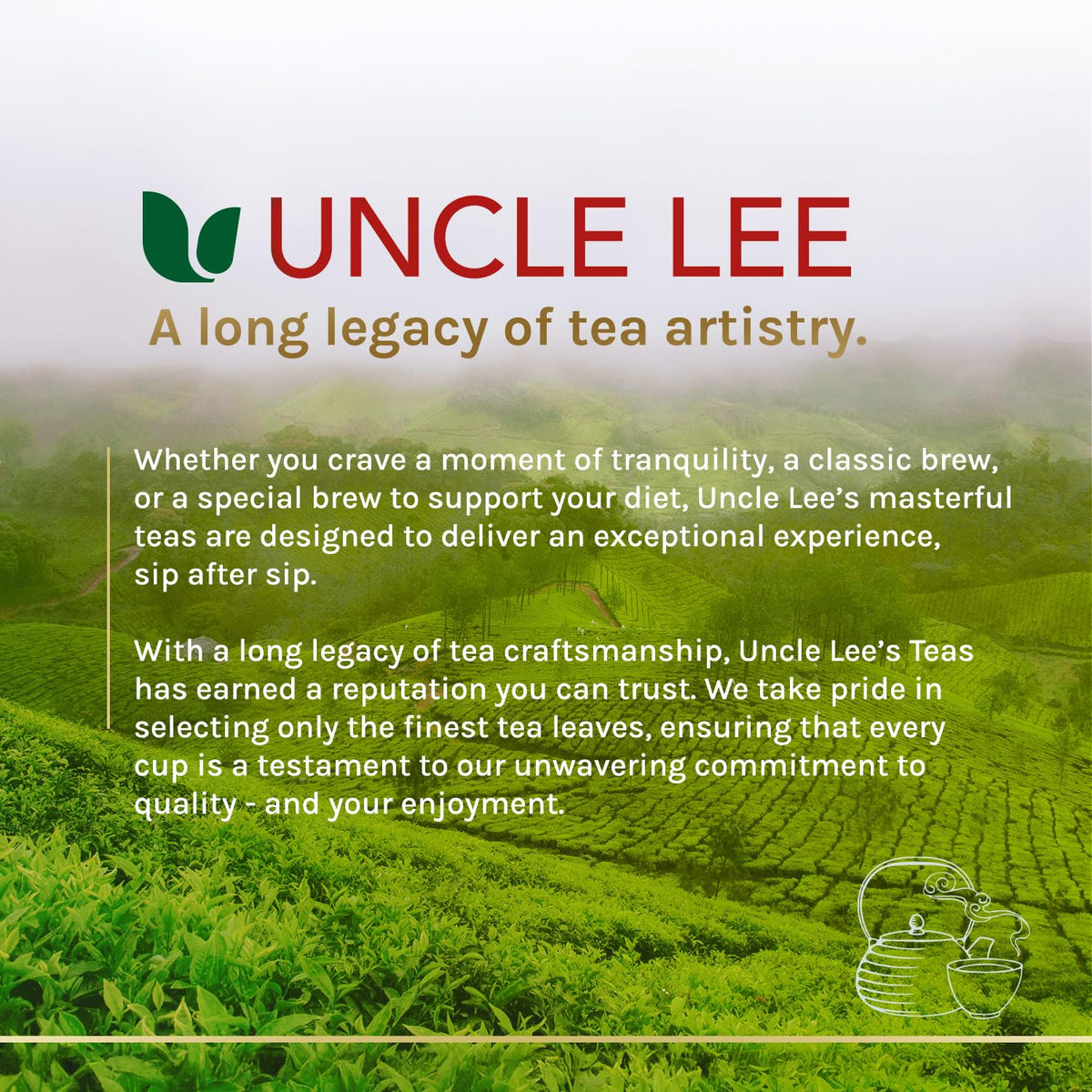 Uncle Lee's Organic Matcha Green Tea Bags – Steady Mid-Afternoon Cold Brew for Desk and Break Room