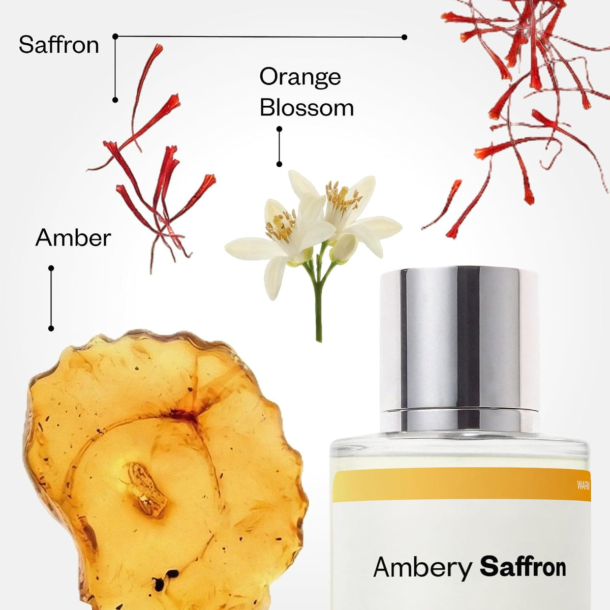 12-hour scent duration claim with amber-woody notes (saffron, orange blossom, jasmine, plum, cedarwood, oakmoss, fir balsam, amber)
