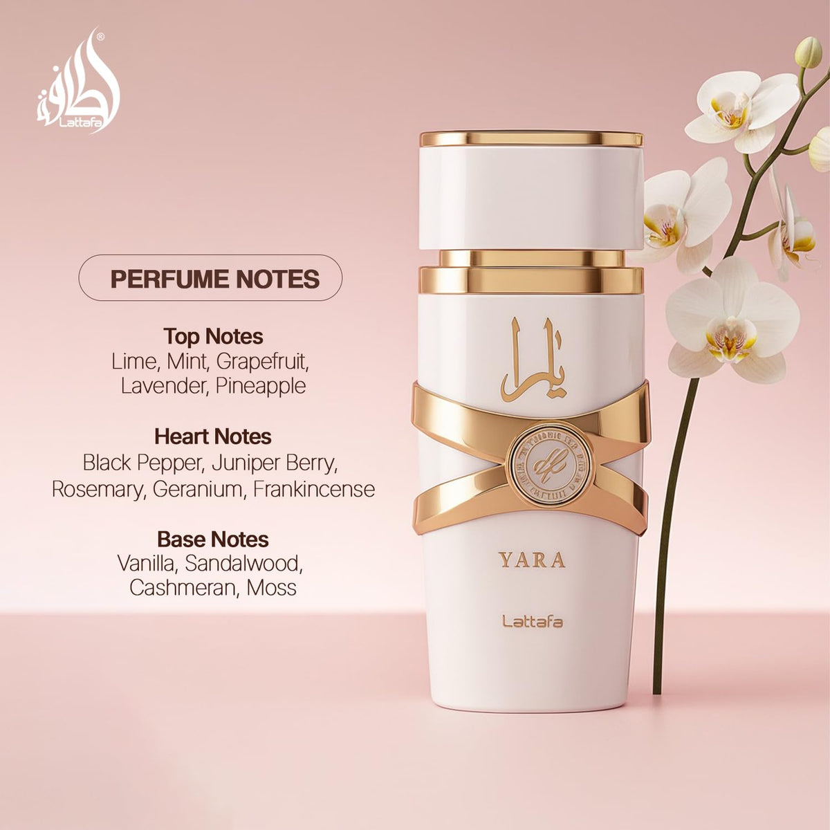 24-hour claimed scent duration per product specs