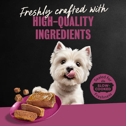 Cesar Adult Wet Dog Food Steak Selection – Welcome Home Gift for New Puppy or Adopted Senior Dogs