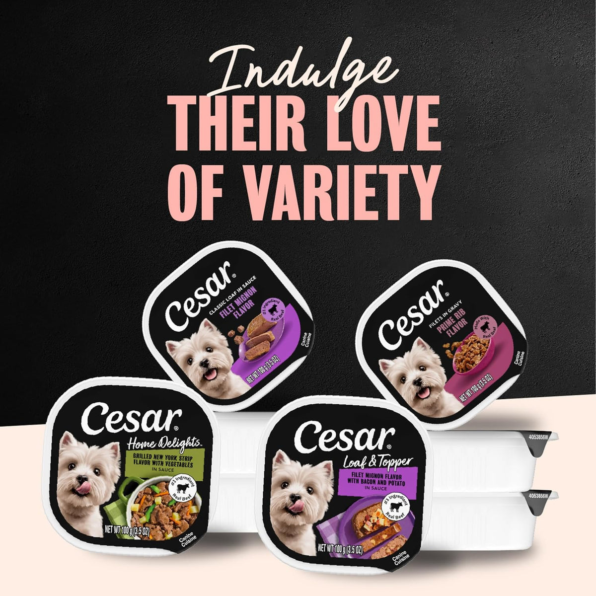 Cesar Adult Wet Dog Food Steak Selection – Welcome Home Gift for New Puppy or Adopted Senior Dogs