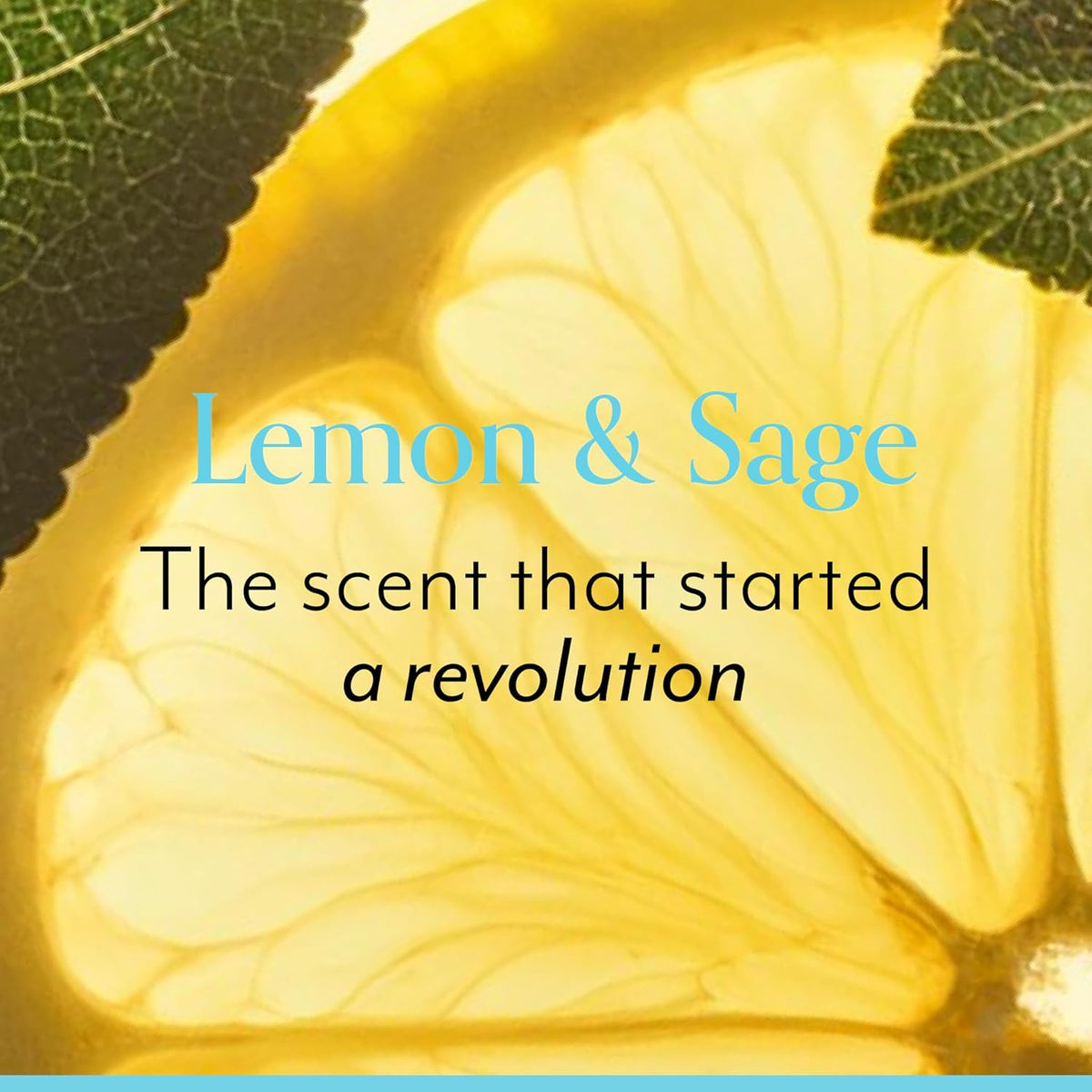 7 scent variants including lemon & sage, grapefruit & aloe, lavender & sandalwood, blood orange & white pepper, and naked (unscented)