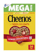 24 Ounce (Pack of 1)