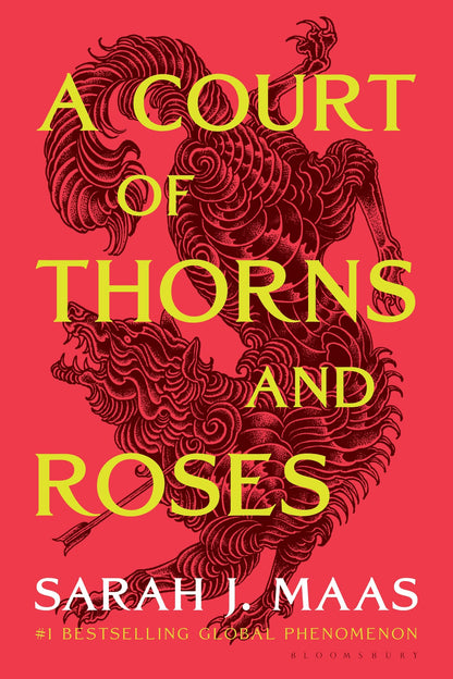 A Court of Thorns and Roses by Sarah J. Maas – Last-Minute Gift Idea for Fantasy Fiction Fans, Bestselling Series Starter Paperback Book