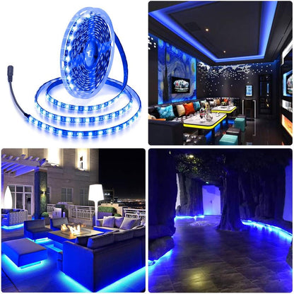 ALITOVE 16.4ft Waterproof Blue LED Strip Light for Patio, Deck and Garden Pathway Accent Lighting, 12V IP65