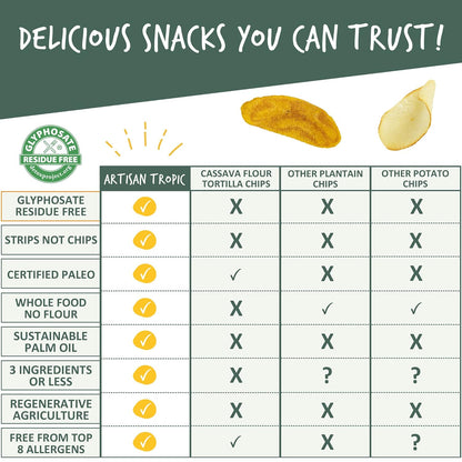 ARTISAN TROPIC Plantain Strips Sea Salt - Lunchbox Snack for Kids, Single-Serve 1oz Bags for School