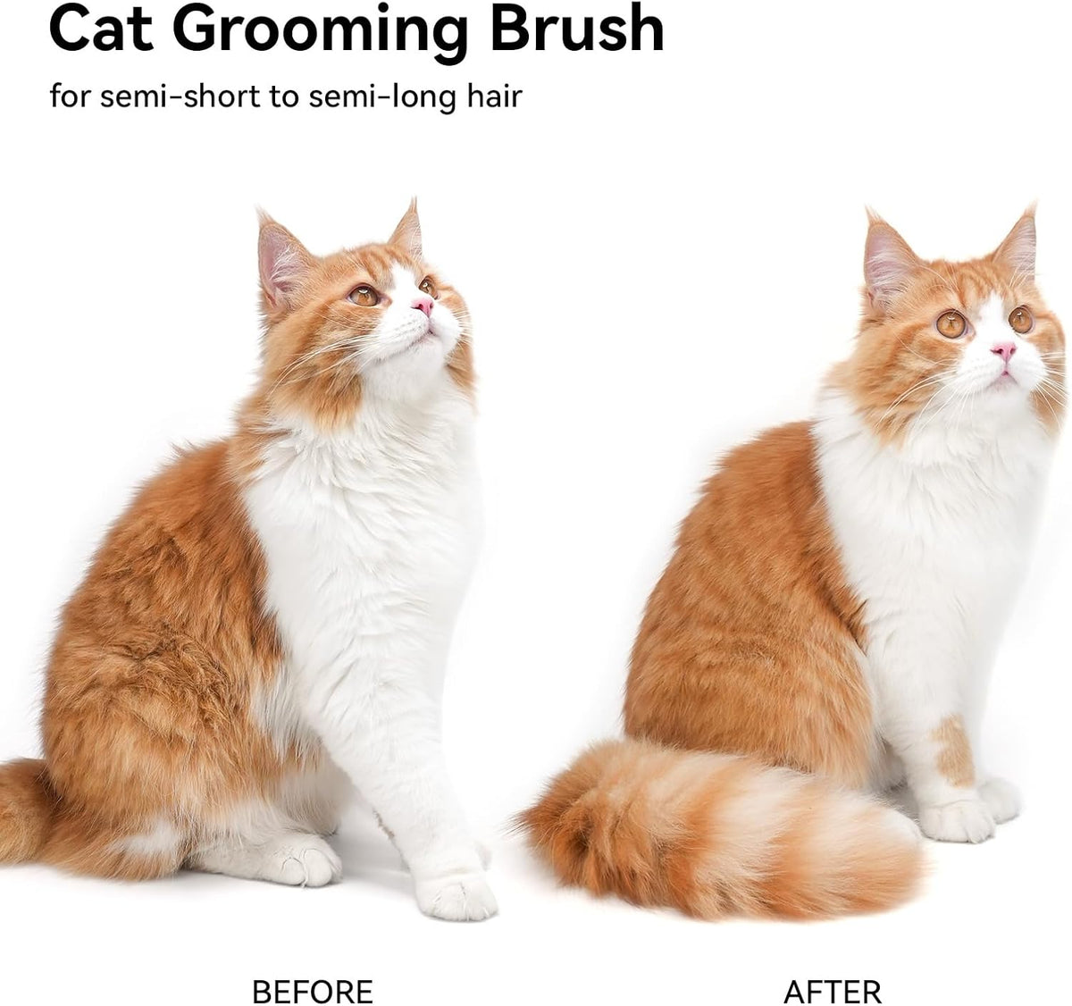 Aumuca Deshedding Brush – Mindful Pet Care Tool for Reducing Loose Fur and Promoting Coat Health