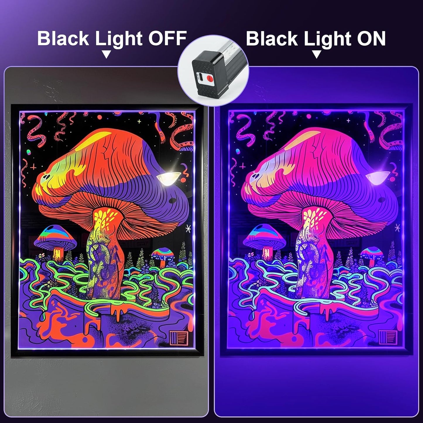 available in 2-pack and 4-pack quantity variants for multi-light room coverage