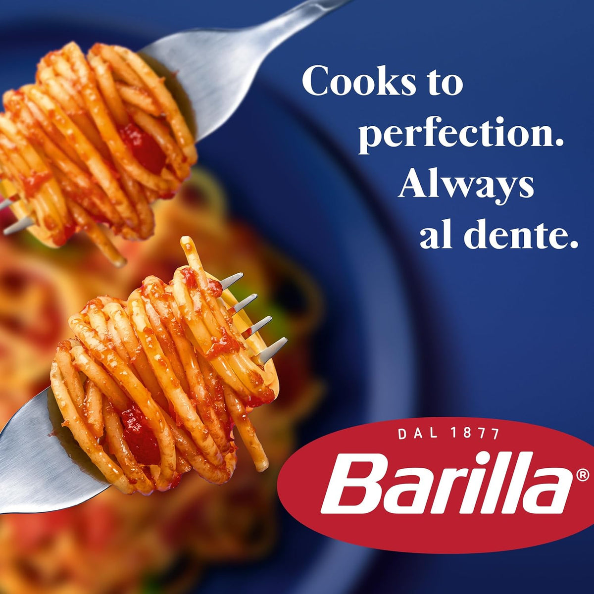 Barilla Medium Shells Pasta – Practical Housewarming Gift for New Home Cooks, 12-Pack Case