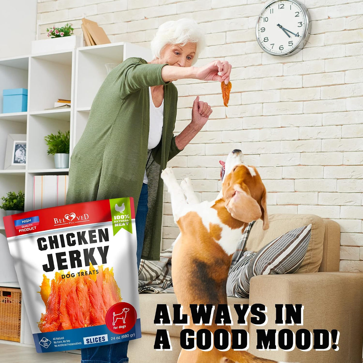 Beloved Pets Chicken Jerky Strips – Portable Training Treat for Hikes, Park Visits, and Travel, 1.5 lb Soft Pack