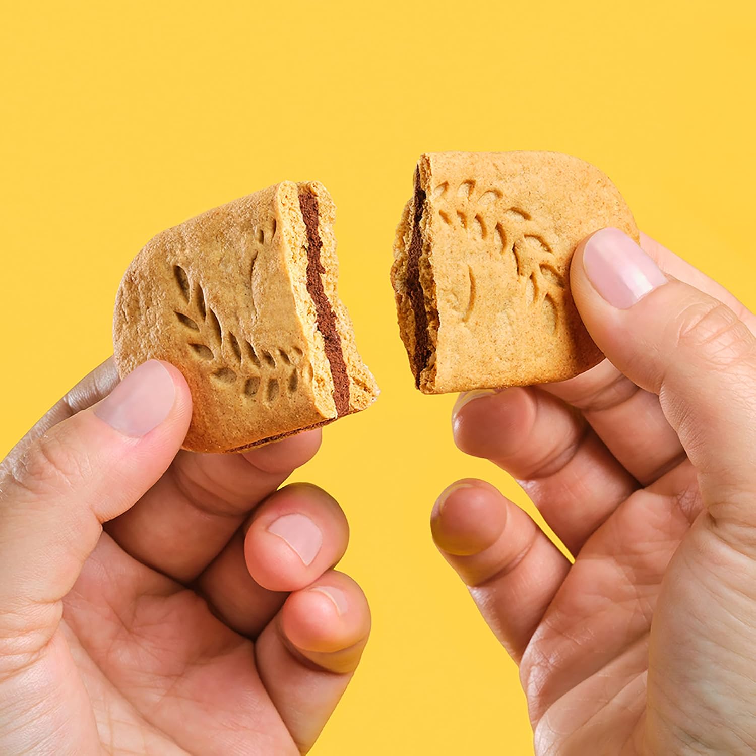 belVita Breakfast Sandwich Bars – School Lunchbox Add-In for Kids and Teens, Dark Chocolate Creme 12-Pack