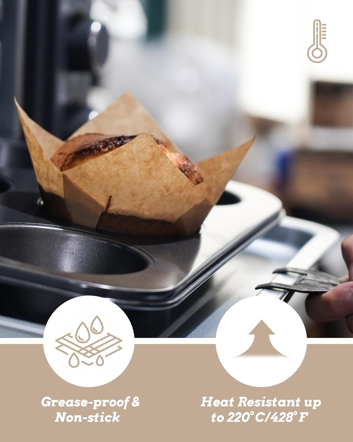 biodegradable, natural, non-toxic european-sourced paper material