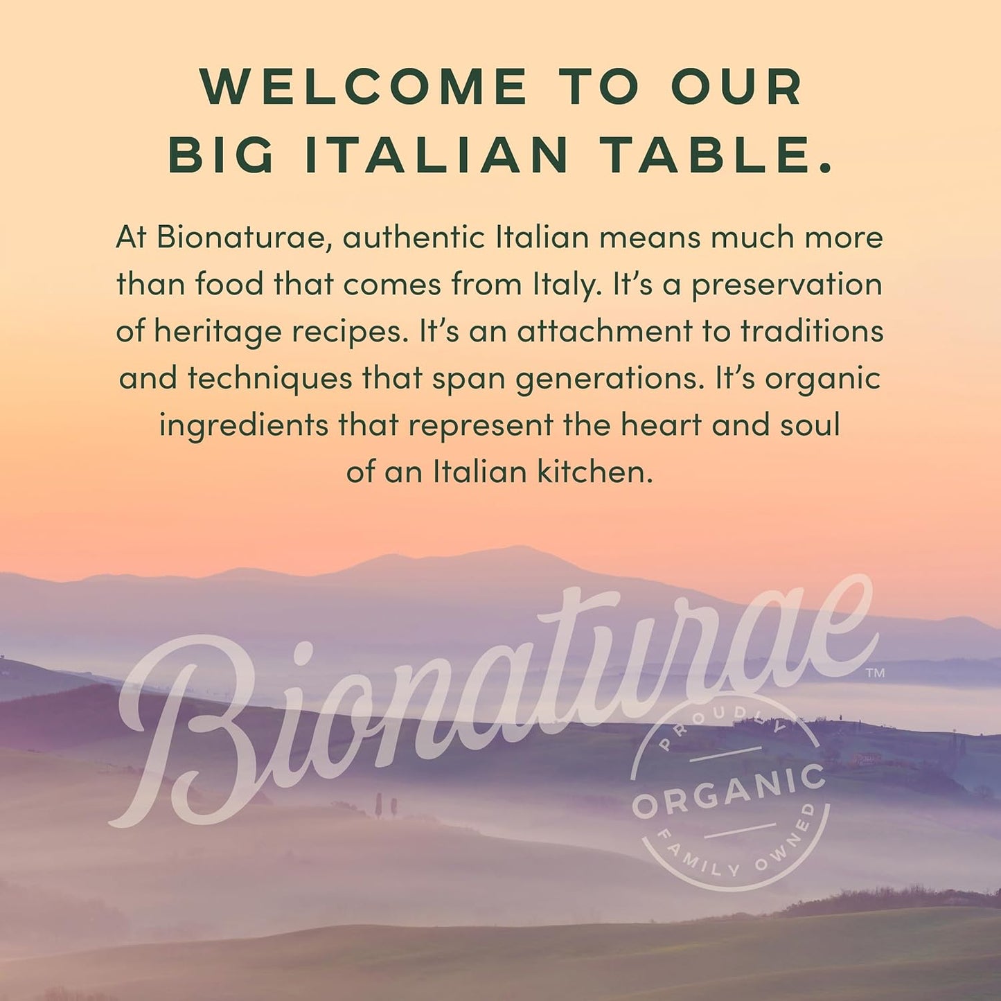 Bionaturae Organic Tomato Paste - No Added Salt Sugar Free Concentrate for Family Meals and Toddler Friendly Cooking, 7 Oz