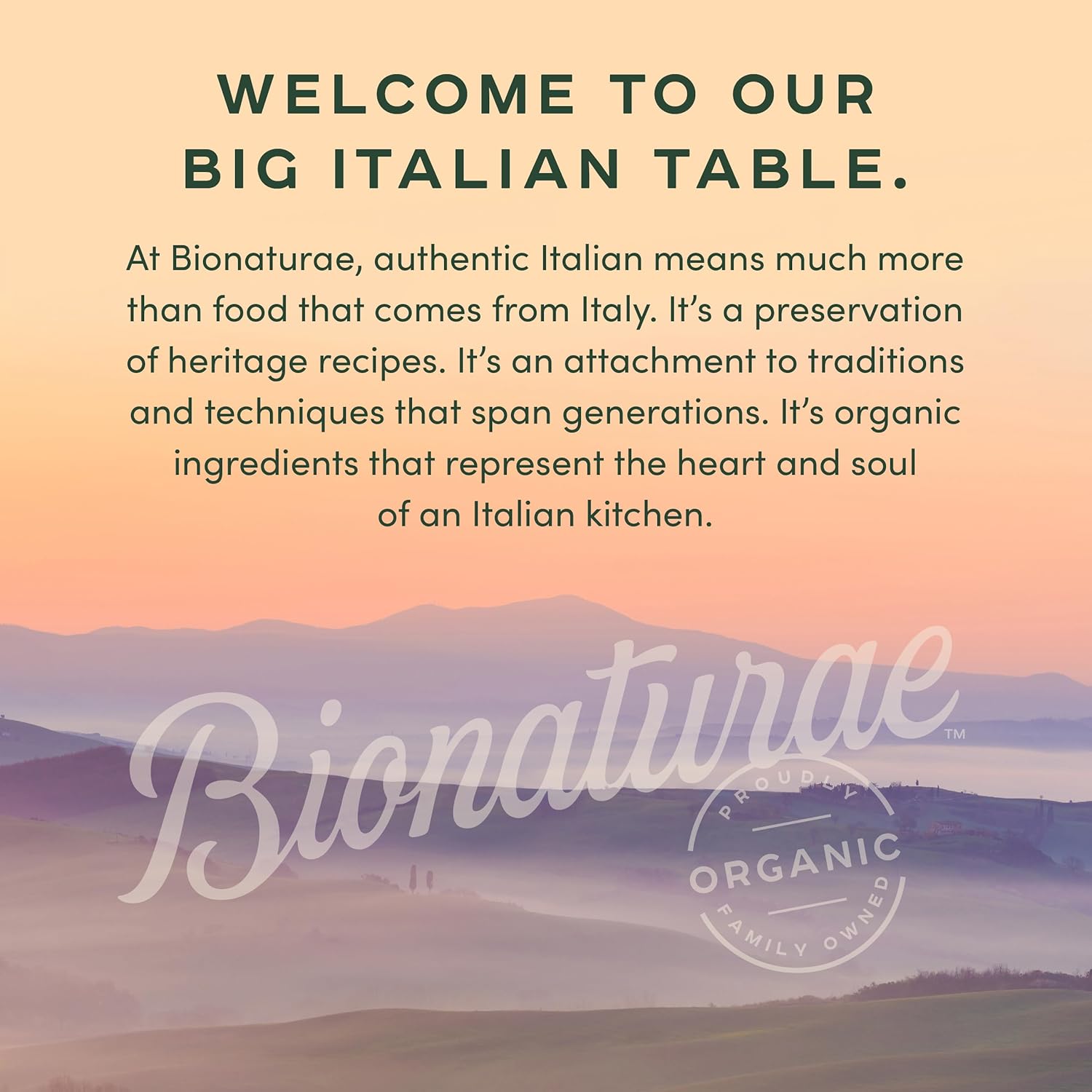 Bionaturae Organic Tomato Paste - No Added Salt Sugar Free Concentrate for Family Meals and Toddler Friendly Cooking, 7 Oz