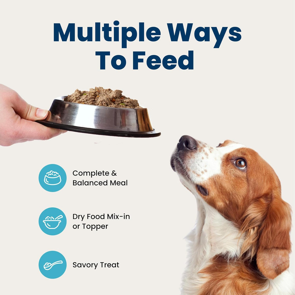 Blue Buffalo Homestyle Wet Dog Food Paté – Housewarming or Holiday Gift for the Devoted Dog Owner, 6 x 12.5-oz Cans