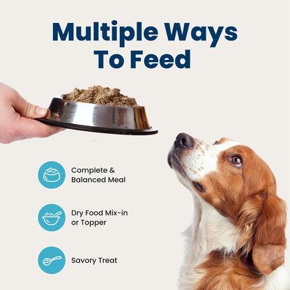 Blue Buffalo Homestyle Wet Dog Food Paté – Housewarming or Holiday Gift for the Devoted Dog Owner, 6 x 12.5-oz Cans