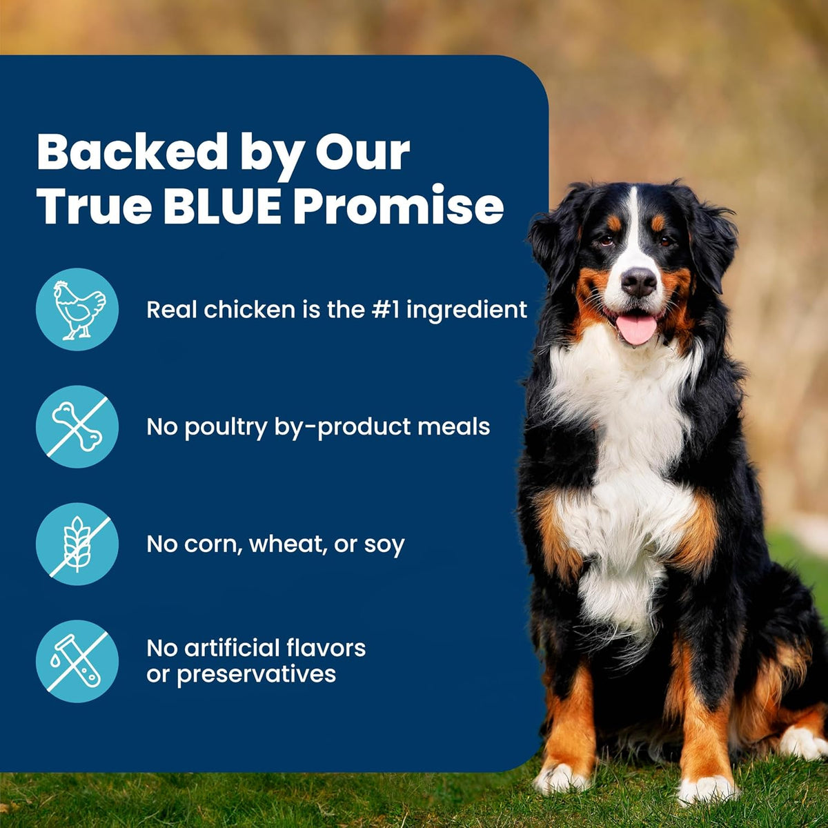 Blue Buffalo Life Protection Formula Chicken & Brown Rice Adult Dog Food – Thoughtful New Pet Parent Gift for Gotcha Day, 5 lb