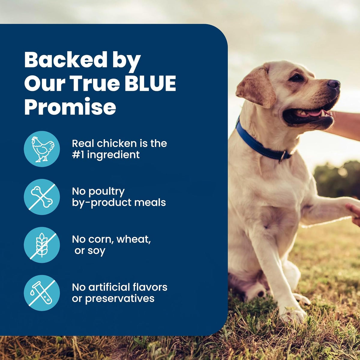 Blue Buffalo Life Protection Formula Senior Dog Food – No Poultry By-Product, Corn, Wheat, Soy or Artificial Preservatives, 5 lb Bag