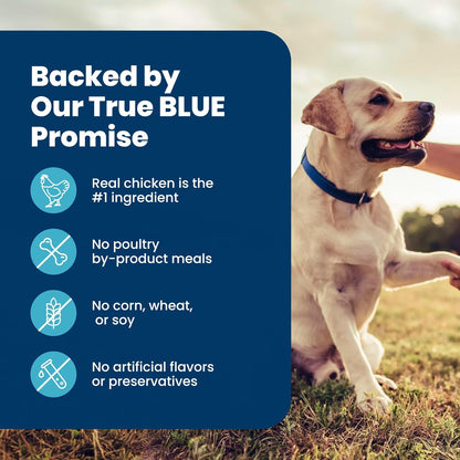 Blue Buffalo Life Protection Formula Senior Dog Food – No Poultry By-Product, Corn, Wheat, Soy or Artificial Preservatives, 5 lb Bag
