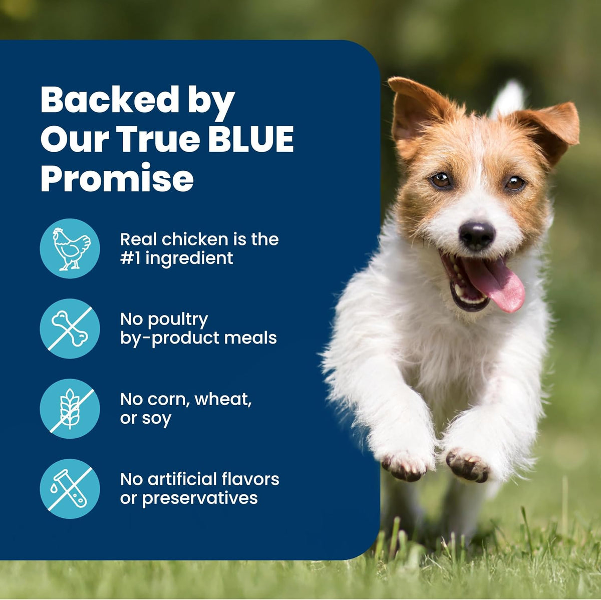 Blue Buffalo Life Protection Formula – Thoughtful Gift for New Small Breed Dog Parents, Chicken & Brown Rice Adult Recipe