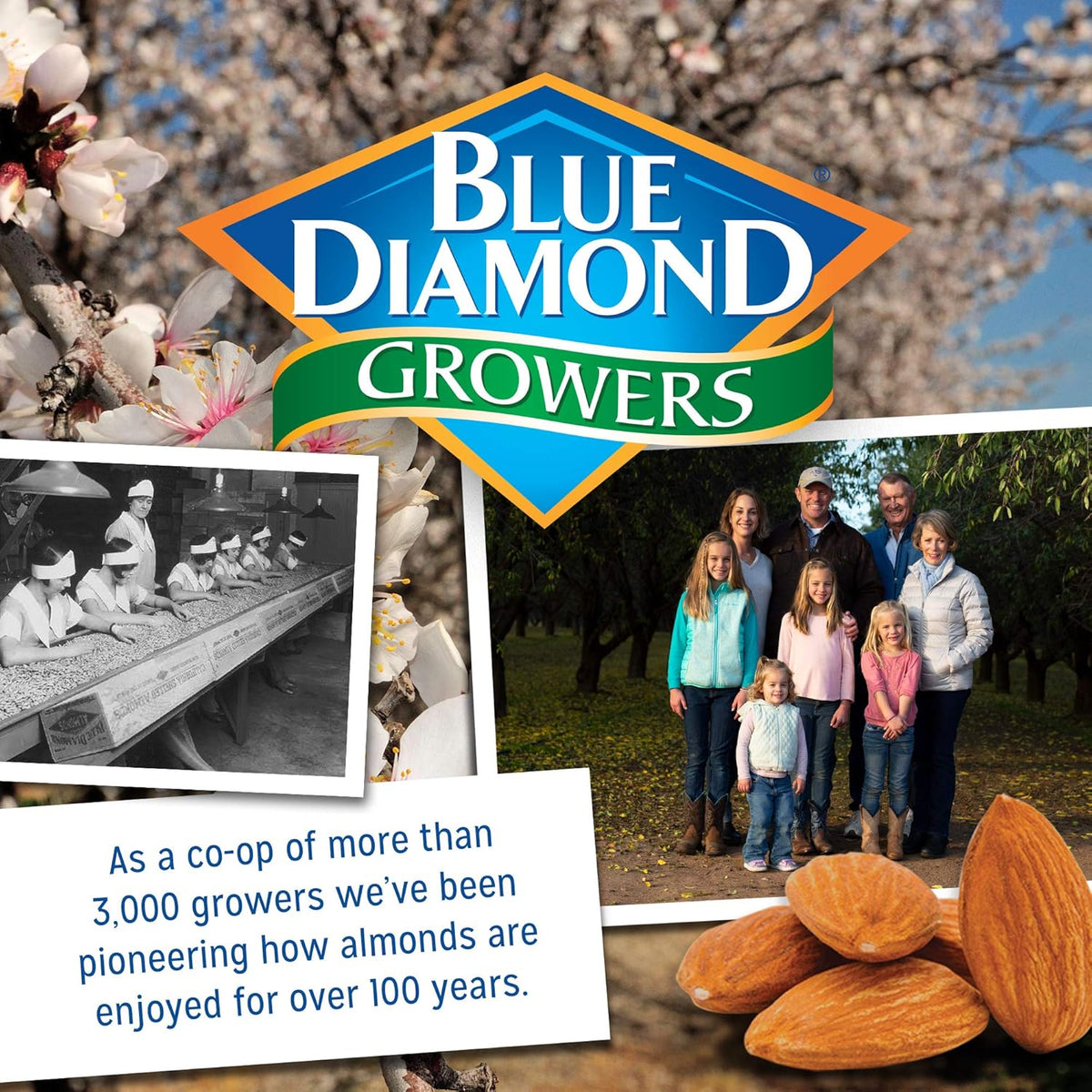 Blue Diamond Almonds Nut Thins Cheddar Cheese – Gluten-Free Almond Cracker for Cholesterol-Conscious Snackers