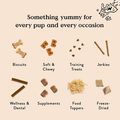 Bocce's Bakery Pumpk'n Spice Limited Ingredient Dog Treats – Safe Soft Chews for Toddler Households and Playroom Play Dates