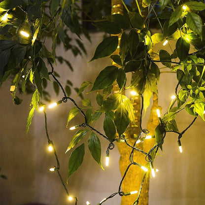 Brightever 100 LED Warm White String Lights – Cozy Living Room & Bedroom Aesthetic, 35 Ft Green Wire Indoor Decor