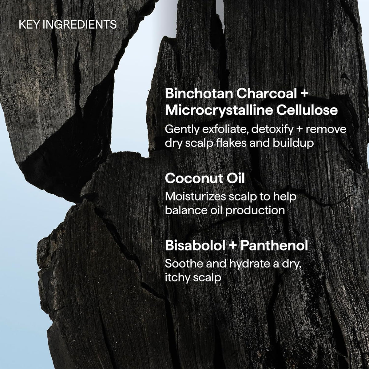 Briogeo Scalp Revival Charcoal + Coconut Oil Micro-Exfoliating Shampoo | Crafted Vegan Formula for the Connoisseur's Bathroom