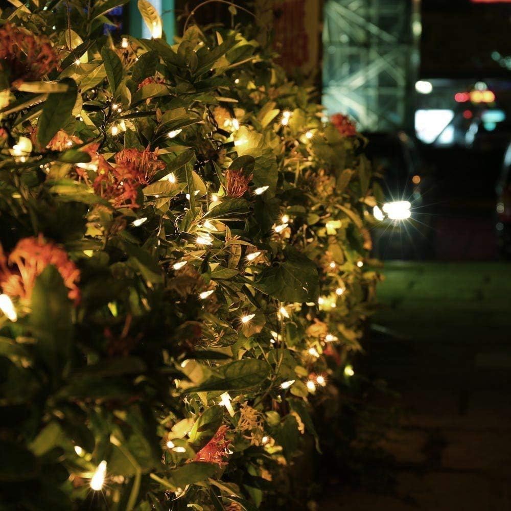 Brizled Family-Safe String Lights – Energy-Efficient Holiday Glow That Stays Cool All Night on Any Outlet