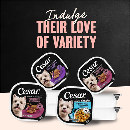 Cesar Wet Dog Food Classic Loaf in Sauce – Balanced Daily Nutrition for Small Breed Wellness, 36 Peel Trays of 6 Flavors