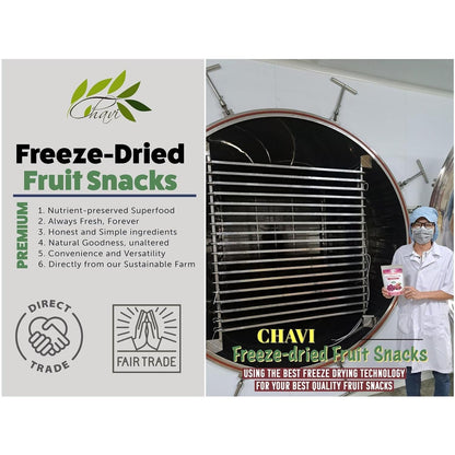 CHAVI Freeze-Dried Dragon Fruit – One-Ingredient Crunch for Minimalist Meal Prep and Quiet Mornings