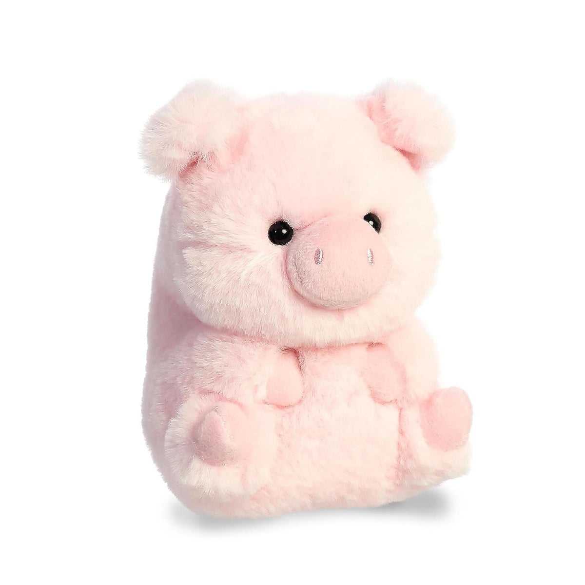 compact 4 x 4.5 x 5 inch footprint (5-inch rolly pet) plus a 7-inch size option