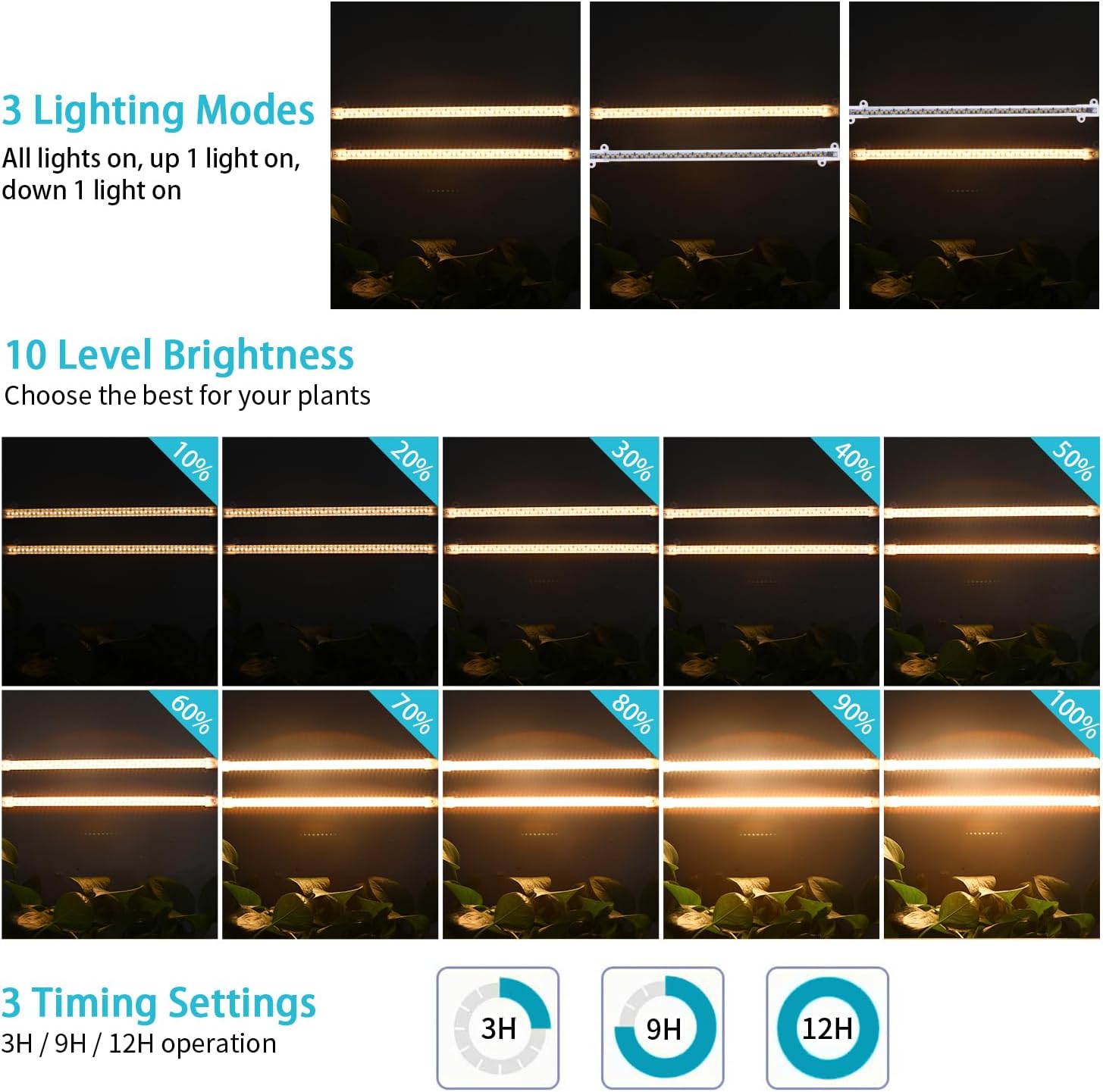cycle memory timer with 3/9/12 hour auto on/off settings
