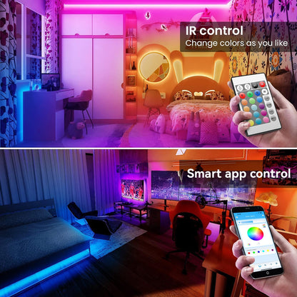 dual control via self-developed bluetooth app and 24-key ir remote