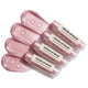 Tinted Pink Champagne 4-Pack
