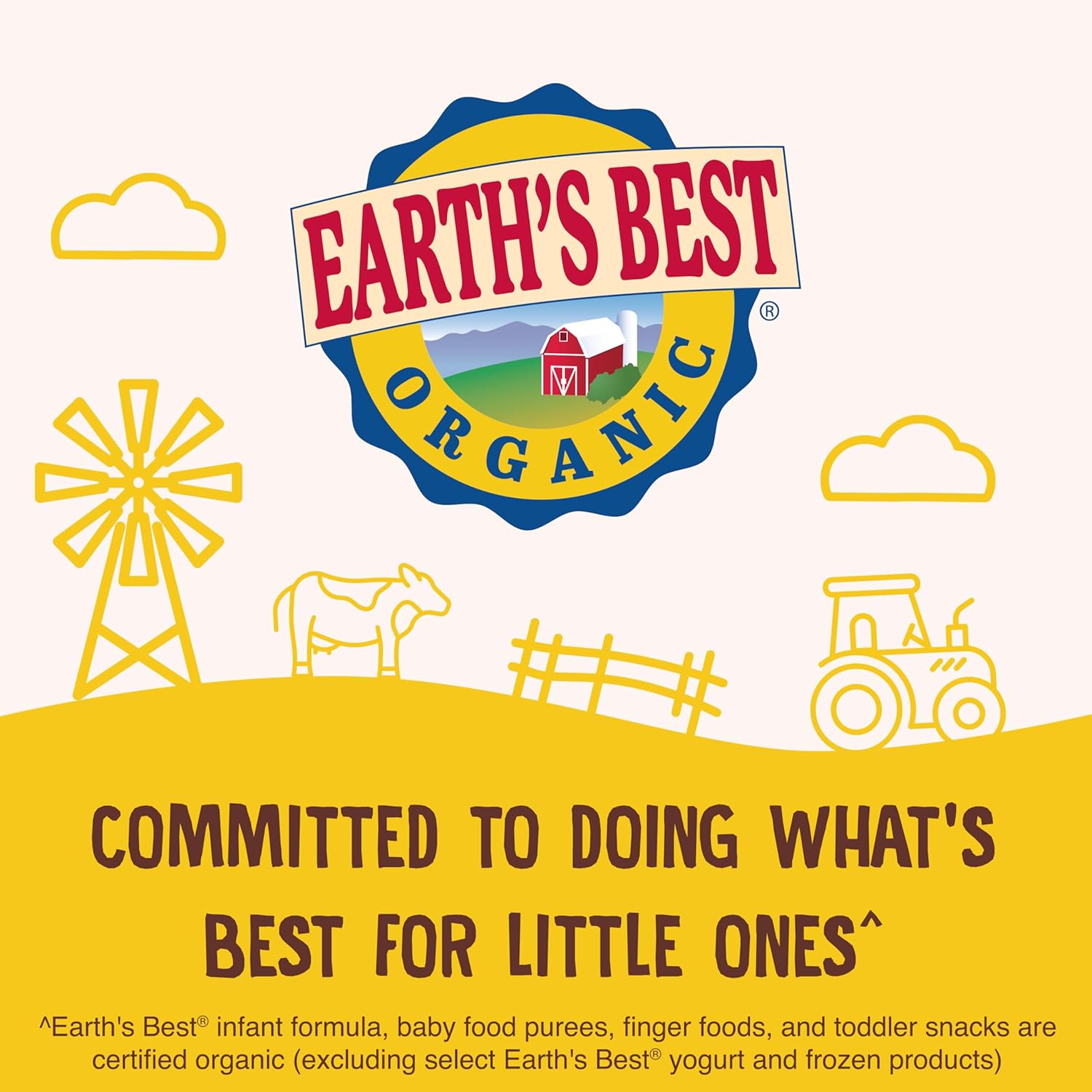 Earth's Best Dissolvable Teething Sticks – Choking-Safe Organic Snack for Early Eaters 6+ Months
