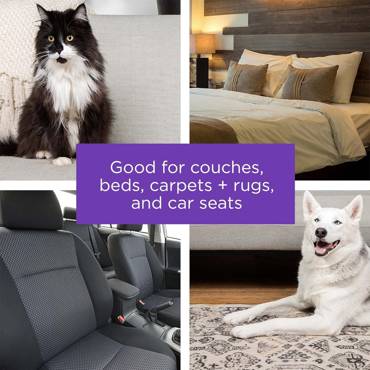 effective on both dog hair and cat hair across upholstery, bedding, carpets, and car interiors