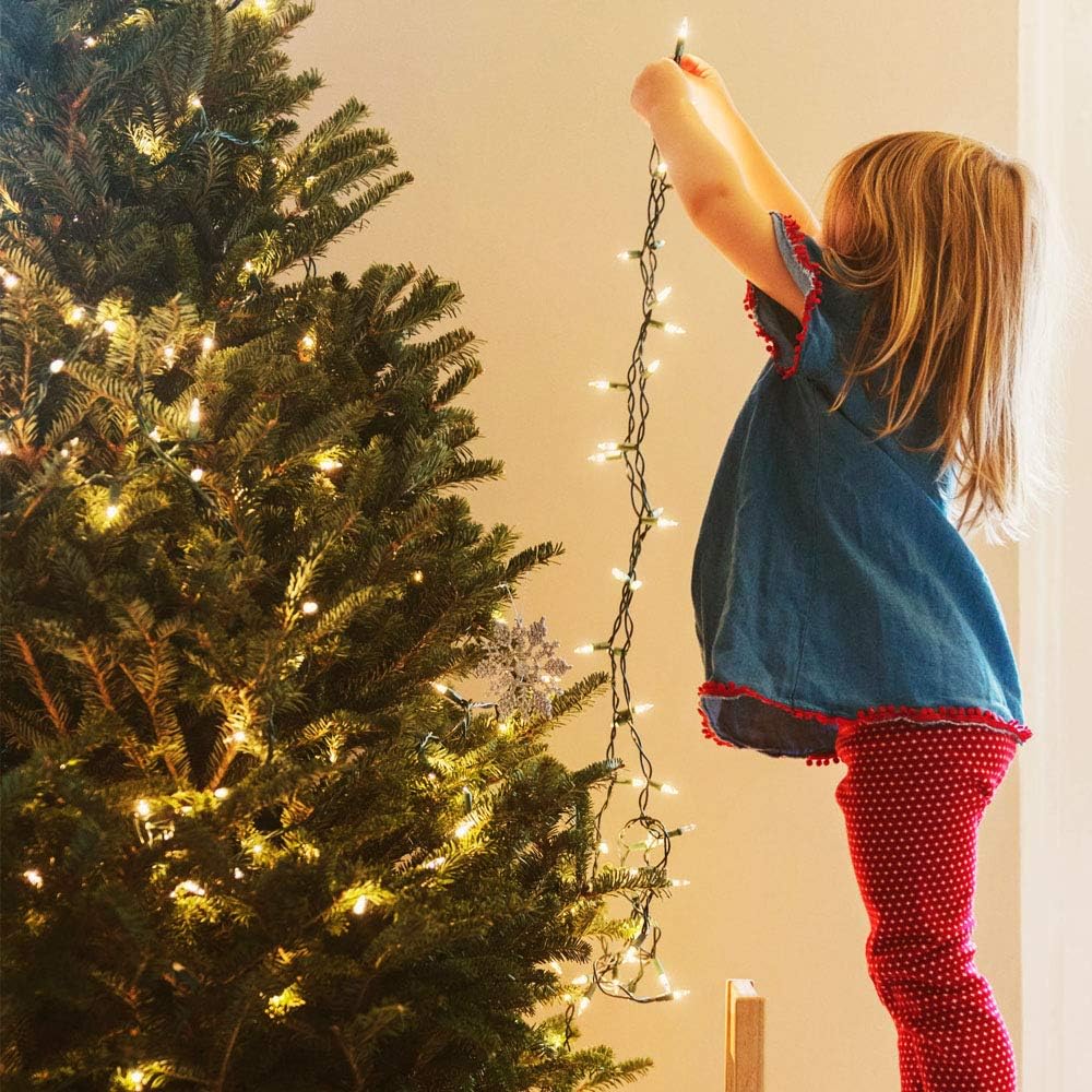 Festive Lights USB or Battery String Lights with Timer and Memory Function, Thoughtful Birthday Gift for Her and Mom, Waterproof Indoor Outdoor Holiday Decor