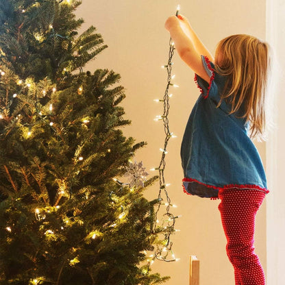 Festive Lights USB or Battery String Lights with Timer and Memory Function, Thoughtful Birthday Gift for Her and Mom, Waterproof Indoor Outdoor Holiday Decor