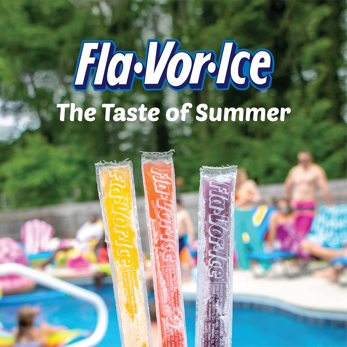 Fla-Vor-Ice Freezer Bars – Nostalgic 80s Childhood Treat Gift Box for Adults, 100 Count Assorted Flavor Variety Pack