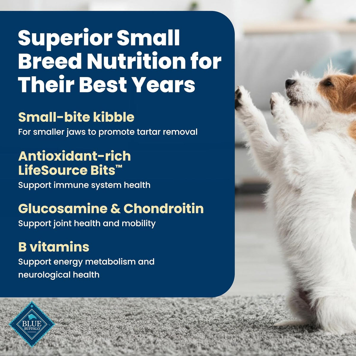 glucosamine hydrochloride and chondroitin sulfate for joint and hip mobility
