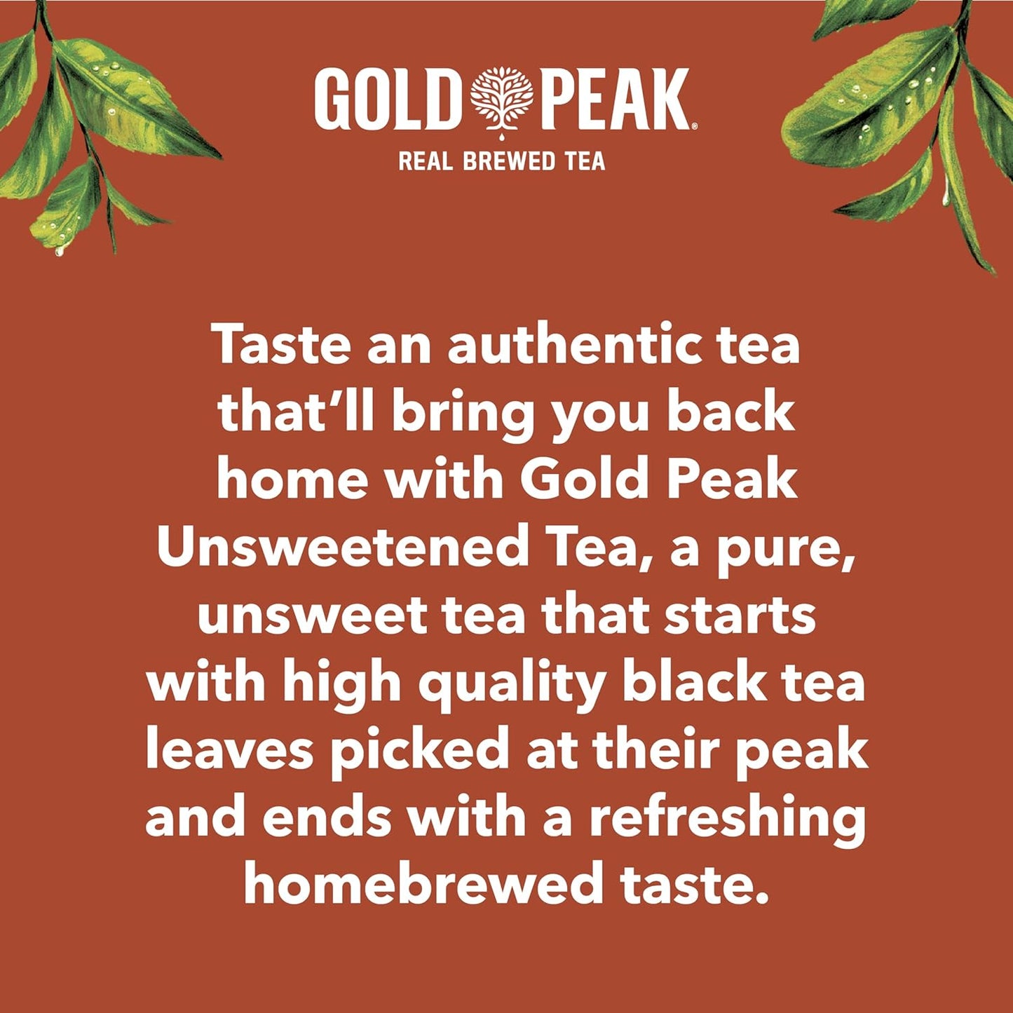 Gold Peak Unsweet Tea – Focus-Friendly Desk Drink for Busy Workdays, 16.9 fl oz 6 Pack