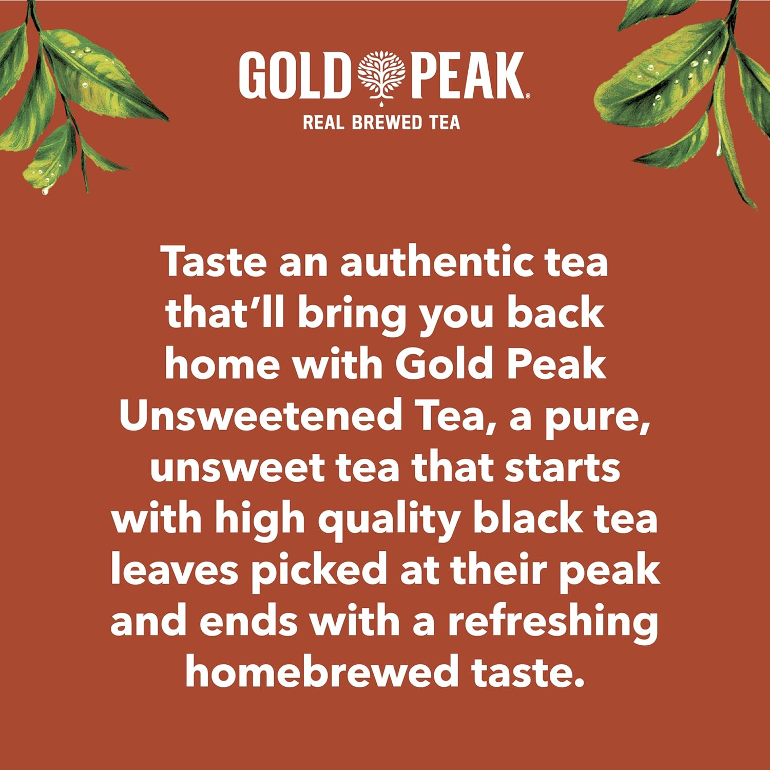 Gold Peak Unsweet Tea – Focus-Friendly Desk Drink for Busy Workdays, 16.9 fl oz 6 Pack