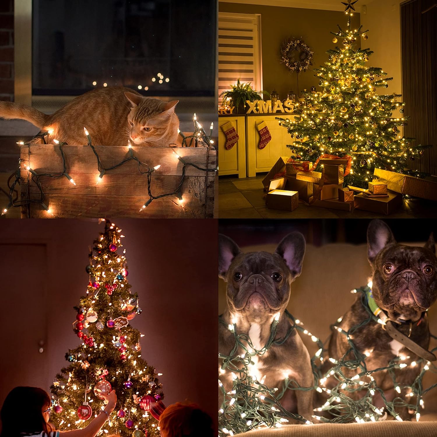 Holiday Classic 150-Bulb Incandescent String Lights for Christmas Tree and Cozy Living Room Ambiance, Warm White