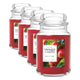 Macintosh - Large Jar (Pack of 4)