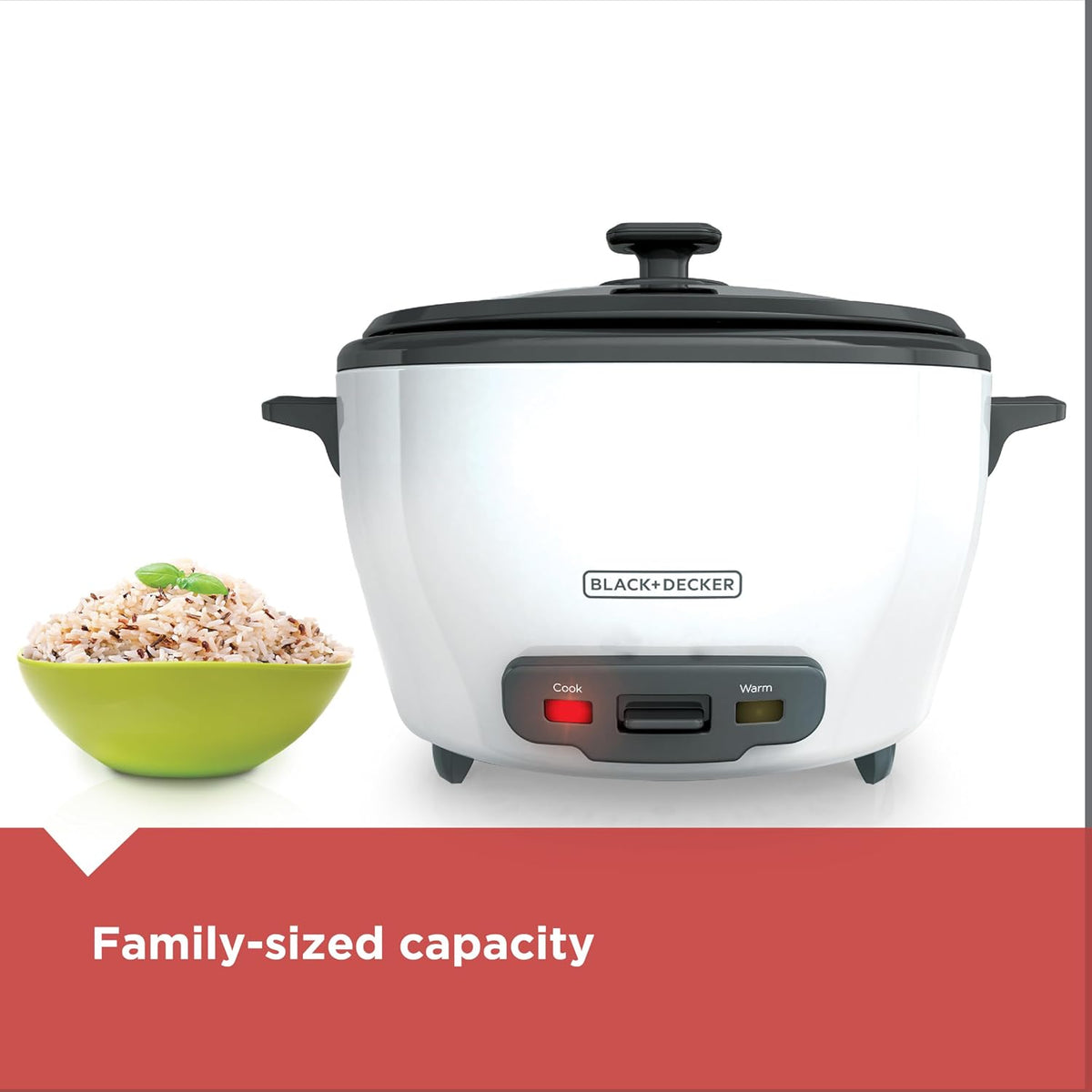 included steaming basket for vegetables, fish, and dumplings
