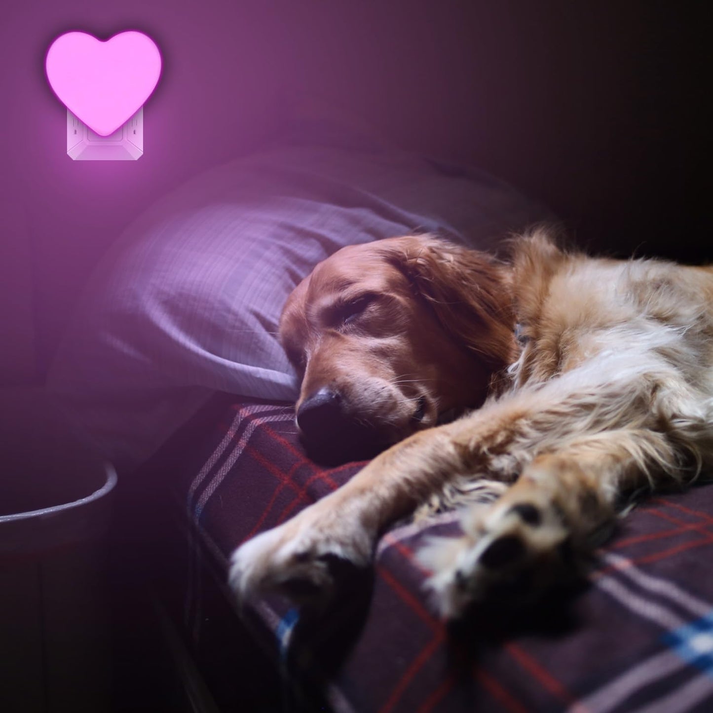 INZU Heart Night Light for Kids Room – Auto Dusk to Dawn LED Plug-in for Nursery Safety and Soft Sleep Lighting